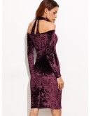 Bardot Velvet Dress With Choker