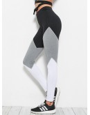 Cut And Sew Panel Leggings