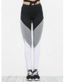 Cut And Sew Panel Leggings