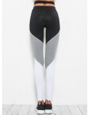 Cut And Sew Panel Leggings