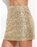 Embroidered Sequin Mini Skirt